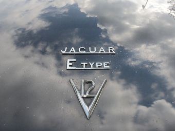 Jaguar.jpg